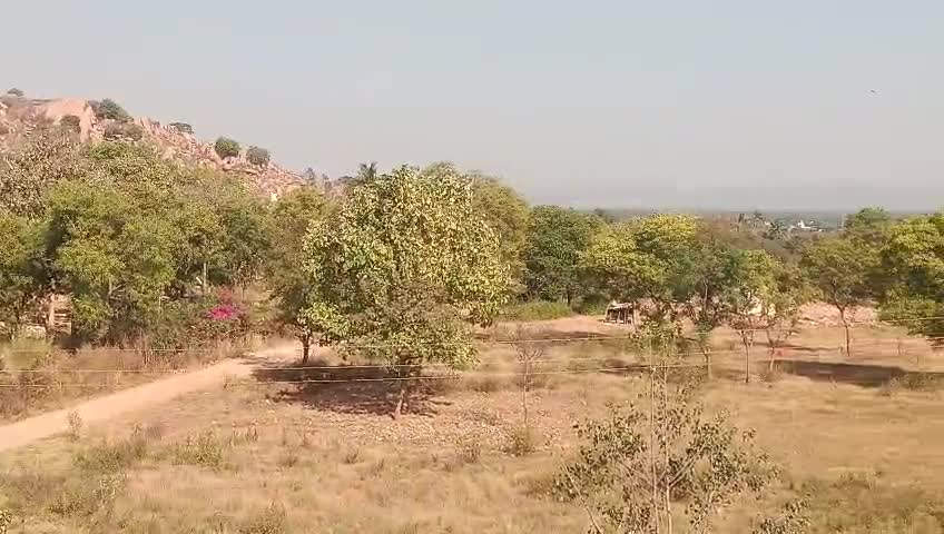 Trees and land from owner-supplied sugar factory site footage