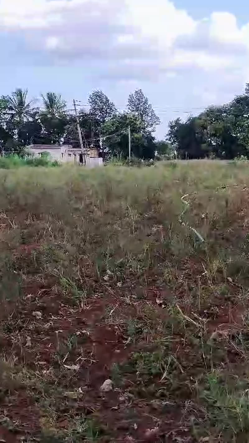Open land in owner-supplied Korategere site footage