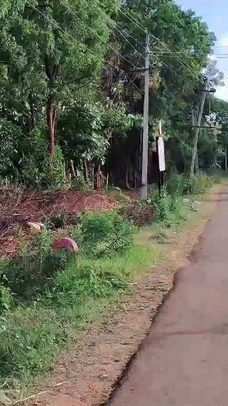 Road beside the 19-acre Korategere land in owner-supplied site footage